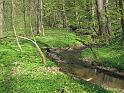 2010-04-24, Röhrsdorfer Grund (1)